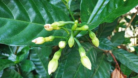 《极限竞速：地平线5》首个大型扩展7＆19推出