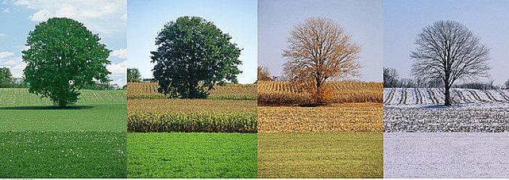 《守望先锋》国服回归奖励公布 送9款满级神话皮肤